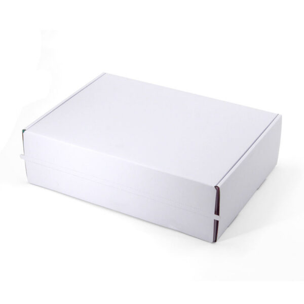 Printed Unicorn Mailer Box with Tear Strip Closure for Gifts